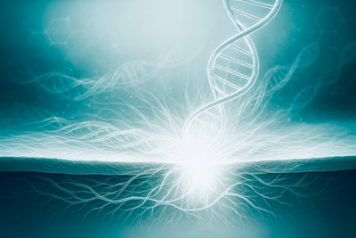 Abstract design with wavy lines on a blue gradient background